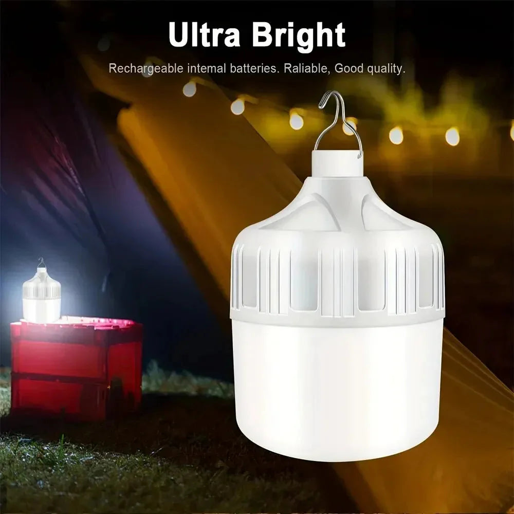 USB & Solar Powered Outdoor Light