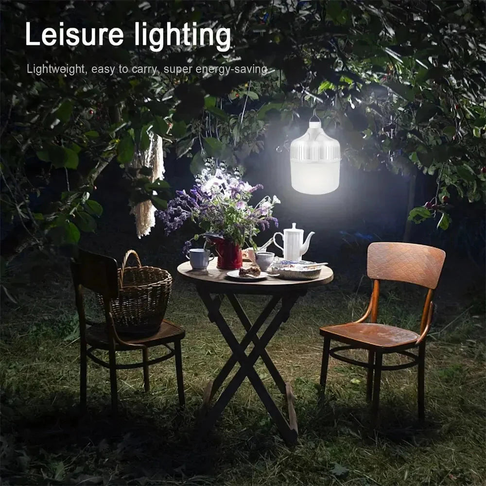 USB & Solar Powered Outdoor Light